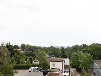 Picture 16